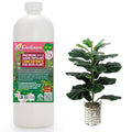 Premium Liquid Hoya Plant Fertilizer - 3-1-2 Concentrate for Indoor Plants and Flowers by Gardenera | Organic Plant Food for Hoya Plants - 32oz