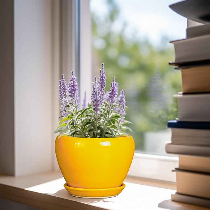 Ceramic Pot for Plants - 6 Inch Plant Pot Glaze Modern Decorative Round Planter with Drainage Hole and Saucer for Home Patio Room Office House Decor, Yellow