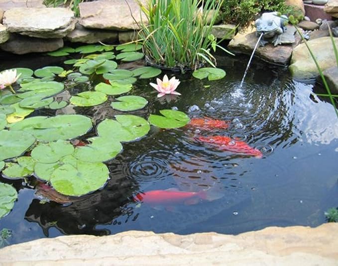 Pond Liner 20 x 25ft 20 mil Pond Liners for Outdoor Ponds, UV Resistant LDPE Pond Liner for Fish Ponds, Pool, Water Features, Fountains, Waterfall and Water Gardens, Black