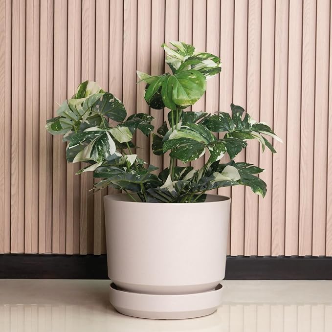 Elly Décor 14 inch Plastic Cylinder Planter Pot with Self-Watering Saucer and Drainage Hole,Lightweight & Extremely Durable, 14"x 14", Ivory