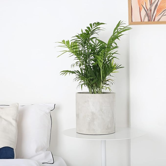 Plant Pots - 6.7 inch Cement Planters Indoor - Modern Grey Flower Pot with Drainage Hole - Home Office Decor