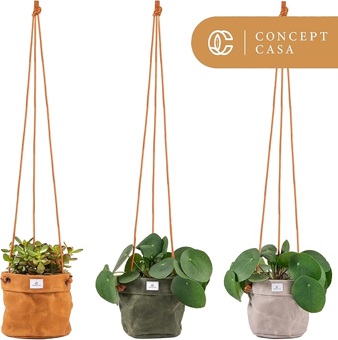 Waxed Canvas Handmade Hanging Planter for Indoor/Outdoor Plants, Hanging Basket Plant Holder Dijon Yellow