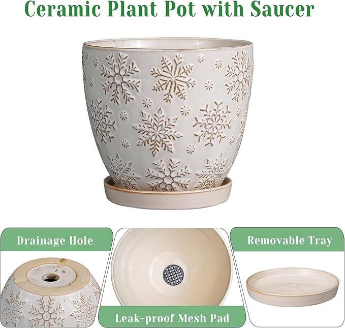 6 Inch Plant Pot with Drainage Hole and Saucer Ceramic Planter for Indoor Plant Flower Pot for Orchid Succulents Plants White
