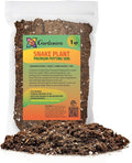 Premium Snake Plant Potting Soil Mix, Green Sansevieria Trifascatia Zeylanica Plants, Plant or Re-Pot Your Snake Plant - (1 Quart Bag)