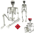 5.4ft/165cm Halloween Skeleton - Life Size Skeleton Full Body Realistic Human Bones with Posable Joints for Halloween Pose Skeleton Prop Decoration (5.4Ft&3Ft)