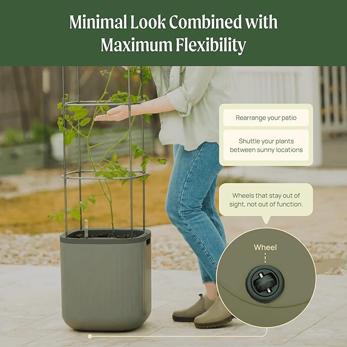 Vego garden Self Watering Pots Home Planters with Water Gauge for Effortless Indoor Plants Fog Gray
