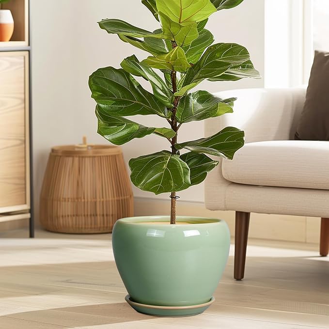 8 Inch Plant Pot - Ceramic Planter for Outdoor Plants Indoor Plant Pot with Drainage Hole and Saucer Mid-Century Round Planter Flower Pot for House Garden Green