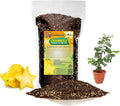 Premium Carambola Potting Soil Mix - Perfect Balance of Nutrients, Drainage, and Aeration for Thriving Starfruit Trees - 4 Quart