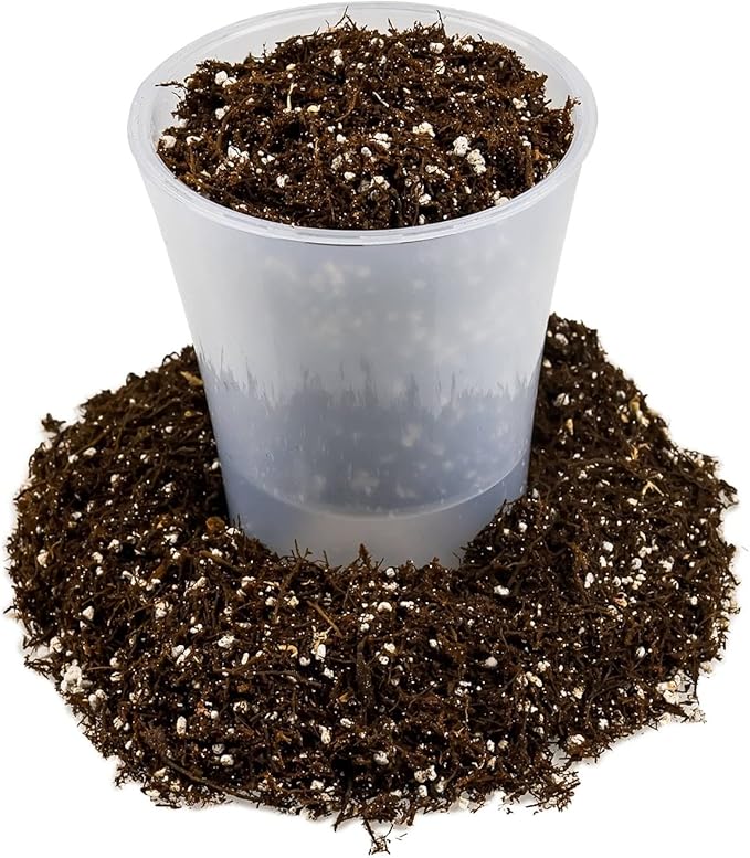 Fern + Perlite Soil Mix - 10 Quart - for Repotting and Planting Succulents and Cactuses (2 Bags of 5 Quart)