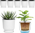 T4U 4 Inch Self Watering Pots for Indoor Plants, 6 Pack White Plastic Flower Pots for All House Plants, Flowers, African Violets