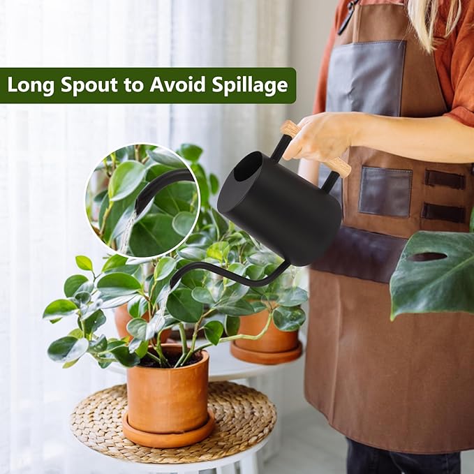 Plant Watering Can,35oz Metal Watering Can,Stainless Steel Watering Can Indoor Plants with Long Curved Spout,Small Watering Can for Indoor Plants,Bonsai Outdoor Garden Modern Decorative(Black)