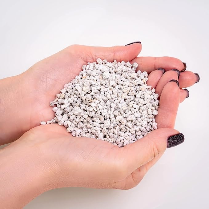 Organic Perlite — Medium/Fine Grade Horticultural Soil Amendment for Indoor & Outdoor Container Plants for Drainage Management and Enhanced Growth (2 Quart)