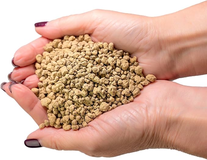 Japanese Hyuga Pumice - Premium Additive for Orchid & Bonsai Tree Soil |Professional Imported Sifted and Ready to Use (2 Quart Bag)