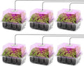 MIXC 6-Pack Seed Starter Tray with Plant Light,Seedling Trays with Adjustable Humidity Domes & Clear Cell Trays 12 Full Spectrum LED Beads for Indoor Plant Growth(Transparent)