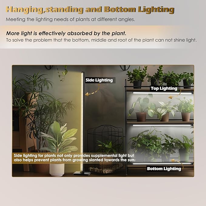 GLOWRIUM Standing Grow Light with Auto-Timer, 36W Vertical Grow Lights for Indoor Plants,3 Light Modes,268 LEDs Detachable Full Spectrum Plant Lights for Wide Area Coverage in Indoor Plants (60 in)