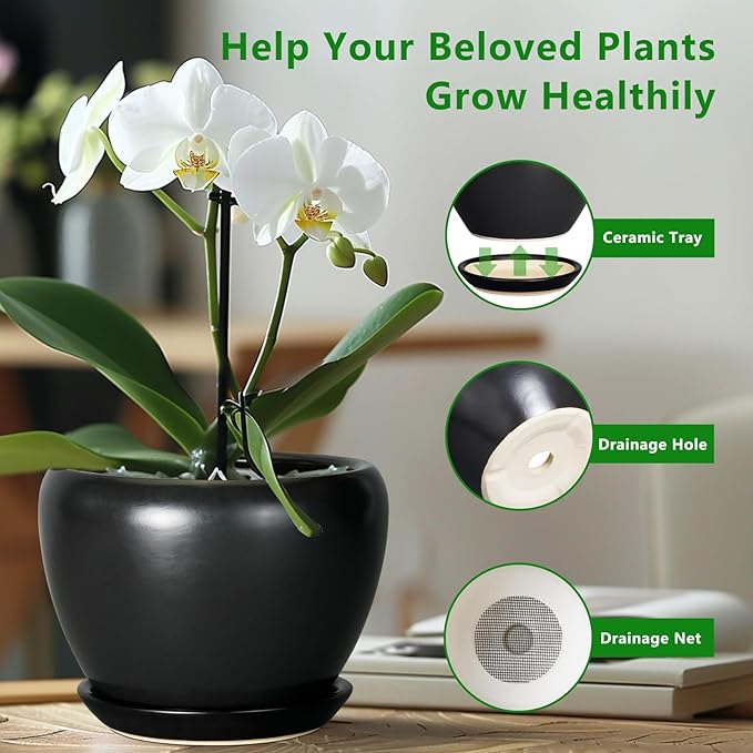 Ceramic Pot for Plants - 10 Inch Plant Pot Indoor with Drainage Hole and Saucer Large Planter Decorative Planter Modern Outdoor Flower Pot for House Balcony Black