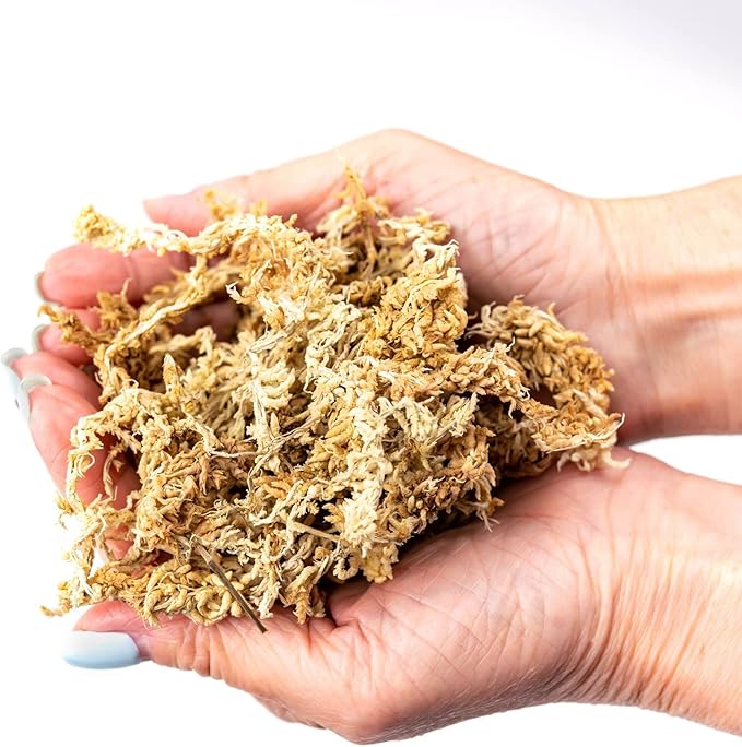 Premium New Zealand Sphagnum Moss by Gardenera - Organic Hand Mixed Long Fibered Sphagnum Moss Orchid - 3 Quart