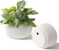 T4U Plant Pots 8 Inch, 2 Pack Self Watering Indoor Planter with Drainage Hole, Shallow Plant Pot, Home Decor Flower Pots for Plants, Herbs, Garden, White