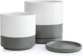 D'vine Dev 8 Inch & 10 Inch Ceramic Planter Pot for Plants with Drainage Hole and Saucer, Large Plant Pots Set, White/Speckled Grey, 94-G-L-6