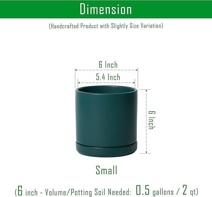 D'vine Dev 6 Inch Ceramic Planter Pot with Drainage Hole and Saucer, Indoor Cylinder Round Planter Pot, Teal, 94-O-C-9