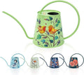 Berry&Bird House Plants Watering Can - Indoor & Outdoor 1/2 Gallon Stainless Steel Water Can with Long Spout Garden Decoration for Flower Bonsai Succulent Gardening Large Watwer Bottle(2L/Robin)
