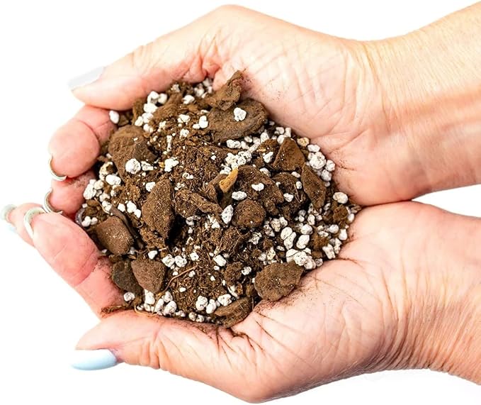 Palm Tree Potting Mix - The Ultimate Soil for Strong and Healthy Palms - Top Choice for Palm Tree Growers [5 Quart Bag]