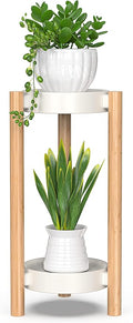 Bamboo Plant Stands Indoor, 2 Tier Steel Tray Tall Corner Plant Stand Holder & Plant Display Rack for Outdoor Garden Indoor Home (2 Tier)