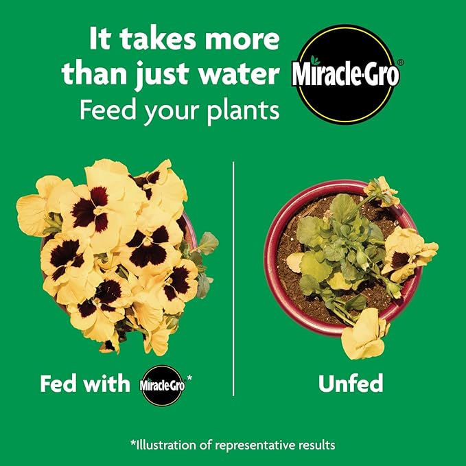 Miracle-Gro Shake 'N Feed All Purpose Plant Food, For In-Ground and Container Plants, Feeds for up to 3 Months, 1 lb.