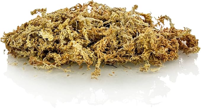 Premium Grade Sphagnum Moss by Gardenera - Organic Hand Mixed New Zealand Long Fibered Sphagnum Moss Orchid - 1 Quart