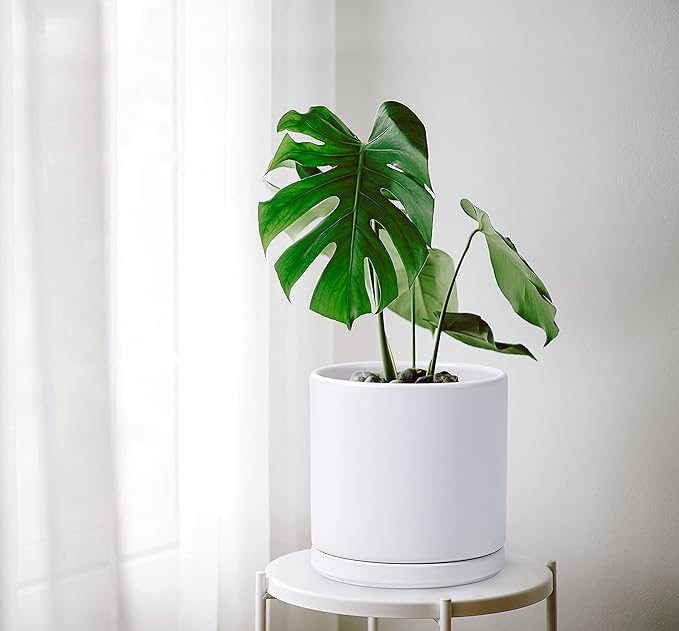 D'vine Dev 10 Inch Ceramic Planter Pot with Drainage Hole and Saucer, Indoor Cylinder Round Planter Pot, White, 94-O-E-1