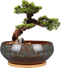8 Inch Ceramic Bonsai Planter Pot, Glazed Shallow Succulent Planter with Drainage Hole and Bamboo Saucer for Indoor Plants, Brown