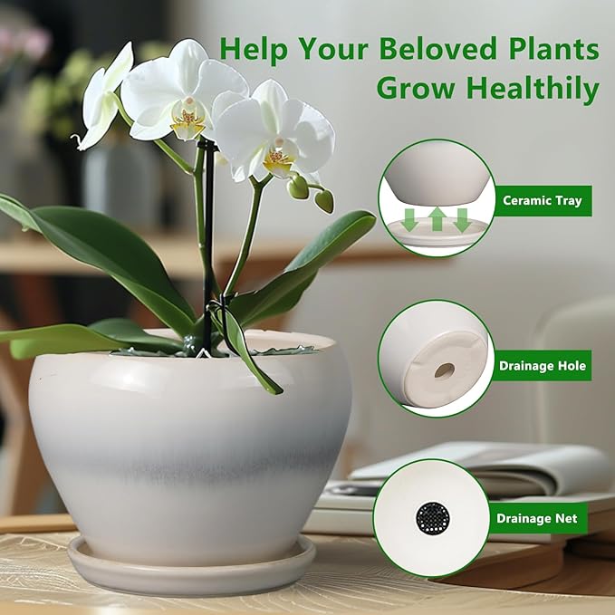 Planter Pot 6 Inch - Ceramic Plant Pot with Drainage Hole and Saucer, Round Glaze Succulent Pot for Plants, White