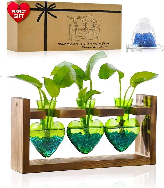 Nacome Plant Terrarium for Office Decor: Birthday Gifts for Plant Lovers Women Mom Wife - Wooden Stand Tabletop Planter 3 Bulb Glass Vase Heart Shaped for Hydroponics Indoor Home(Green)