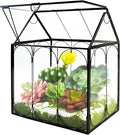 Plant Terrarium Jar, Rifny Indoor House Shape Glass Terrarium Planter with Lid for Venus Fly Trap Succulent Live Air Plants, Small Terrarium Decor for Home Office (Without Plants)