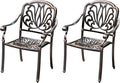 Outdoor Dining Chair Cast Aluminum Patio Chairs Set of 2 All-Weather Patio Dining Chair with Adjustable Feet for Backyard Garden (YLSB Chair)