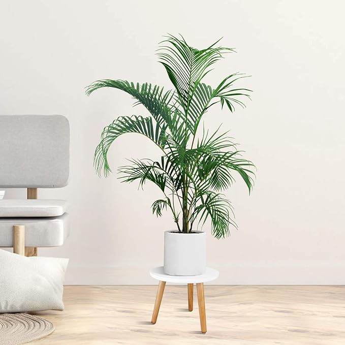 Uneedem Indoor Plant Stand Wood Mid Century Modern Small Round Side Plant Table for Indoor Plants, 8.9" Tall Plant Holder for Flower Pots End Table
