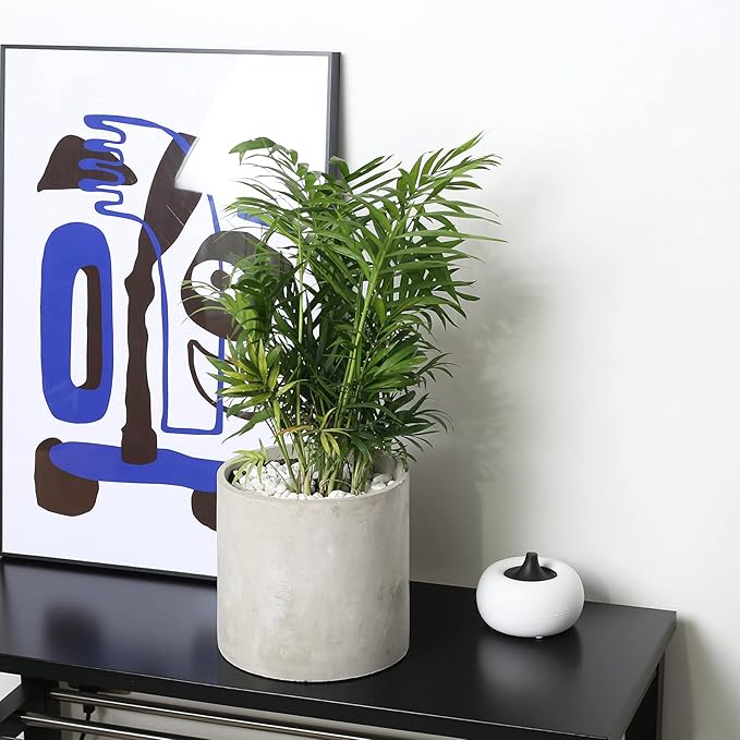 Plant Pots - 8.6 inch Cement Planters Indoor - Modern Grey Flower Pot with Drainage Hole - Home Office Decor