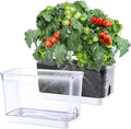 Self Watering Planter, 2 Pack African Violet Pots, Rectangular Self-Watering Clear Planters Box for Devil's Ivy, Spider Plants, Orchid. Flower Planting and Small Vegetables for Home Office