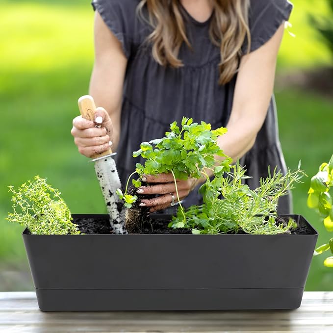 GREANER Rectangle Window Boxes, 6PCS 16x3.8 Inch Black Herb Planters with RemovableTray and Drainage Hole, Succulent Flowers Plastic Pot for Balcony, Office, Windowsill, Garden, Outdoor Decoration Use
