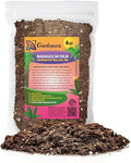 Madagascar Palm Potting Mix - Promote Strong Roots and Captivating Form with Our Premium Blend - 4 Quart