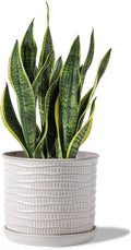 8 Inch Plant Pot: Ceramic Planter with Drainage Hole & Saucer - Cream White Flowerpot for Indoor & Outdoor Plants - with Separate Tray for Home & Office - Wave Embossed Design