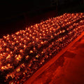 Joomer 12ft x 5ft 360LED Orange Halloween Net Lights Outdoor Mesh lights, 8 Modes Timer Connectable Waterproof Bush Lights Mesh Netting Lights for Halloween Outdoor Decorations (Clear Wire)