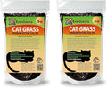 Cat Grass Planting Soil - Provide Your Cat with a Safe and Healthy Greenscape - 10 QUARTS