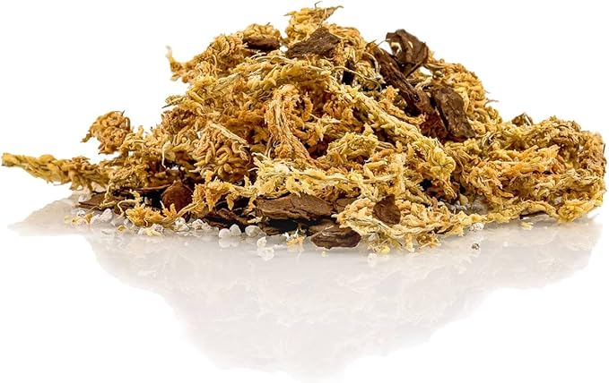 Premium Sphagnum Moss, Perlite and New Zealand Pine Bark Blend for Carnivorous Plants - Perfect for Venus Fly Traps, Pitcher Plants, Sarracenia, Butterworts, and Sundews by GARDENERA - 2 Quart Bag