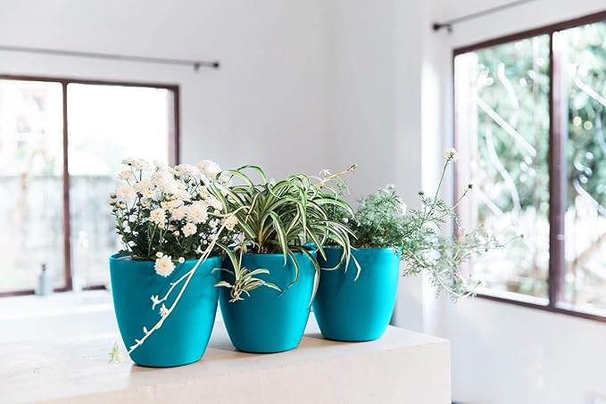 GARDENIX DECOR Self Watering Pots for Indoor Plants 3 Pack - Flower Pot with Water Level Indicator for Plants, Grow Tracking Tool - Self Watering Planter Plant Pot - Coco Coir - Teal