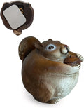 Stocky Squirrel Outdoor Hidden Key Hider and Decorative Patio, Lawn and Garden Statue