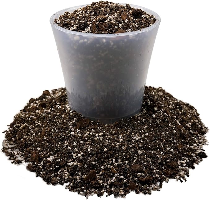 Fiddle Leaf Fig House Plant Soil Premium All Purpose Blend - Peat Moss, New Zealand Bark, Coco Chips and Fibers, Perlite - 4 Quart Bag