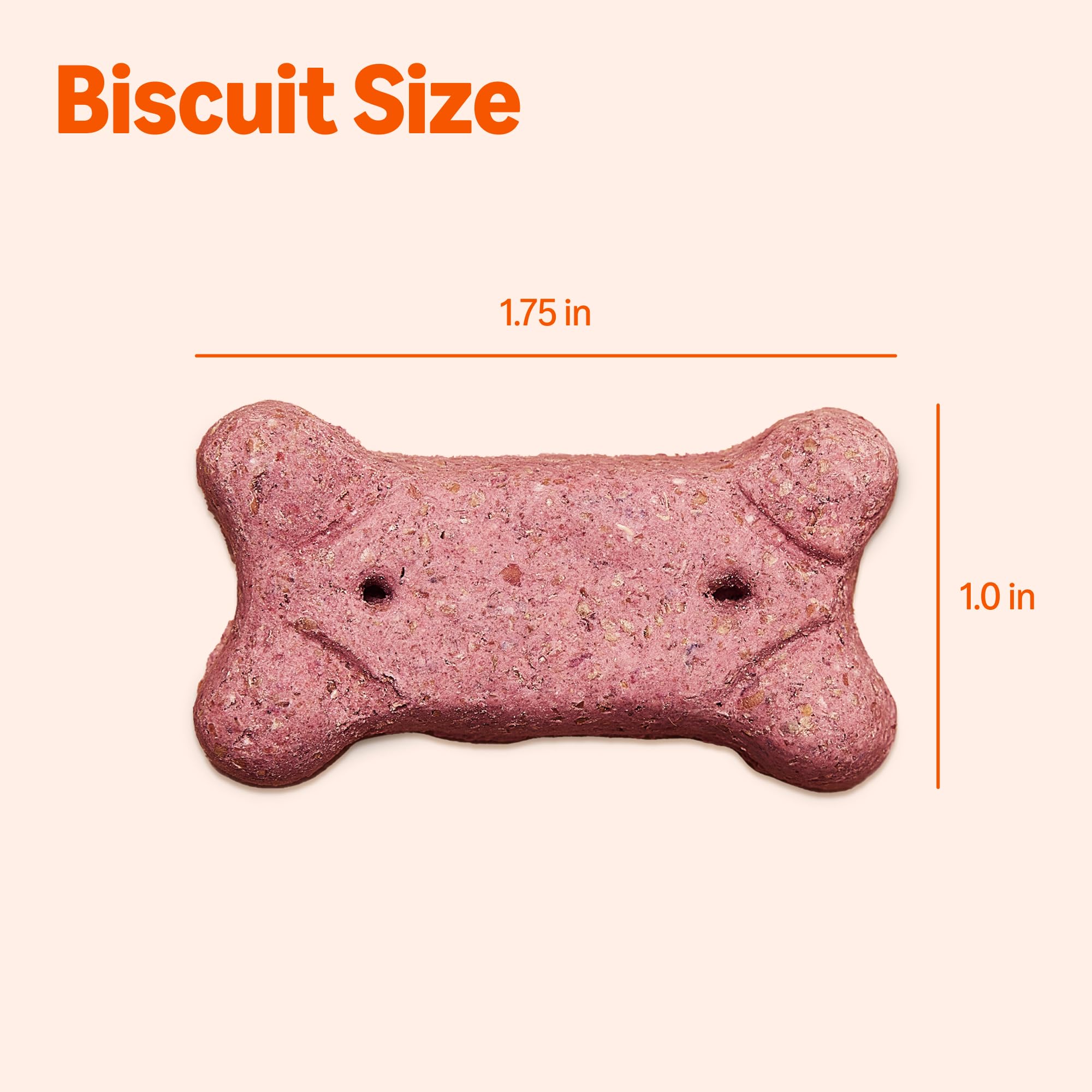 Amazon Basics Crunchy Dog Biscuits Multi Flavor 5 lb Box