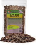 Premium Olive Tree Potting Mix - Perfect Balance of Air, Moisture, and Nutrients - 1 Quart