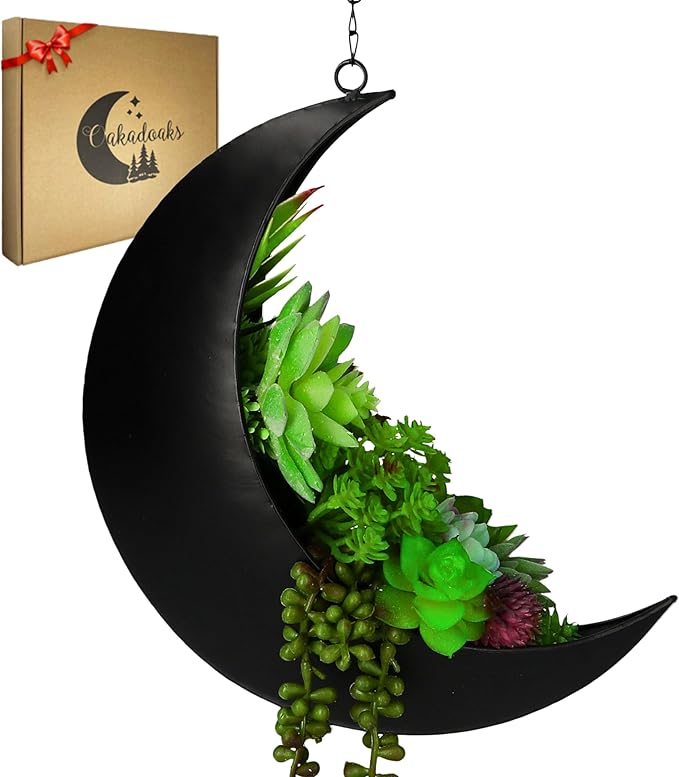 Black Hanging Moon Planter with Drain Holes - Moon Room Decor - Unique Planters for Succulents,Air Plant, Cactus, Artificial Plants- Plant Lover Gifts - Boho,Hippie, Birthdays,Witchy Gifts for Women